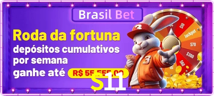 S11