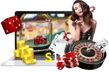 S11